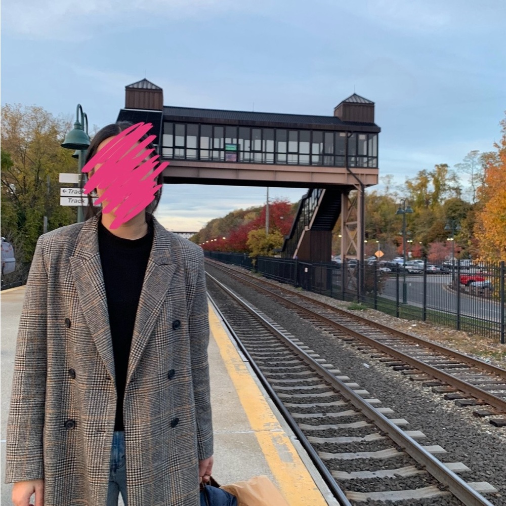 Zara Plaid Double-Breasted Coat